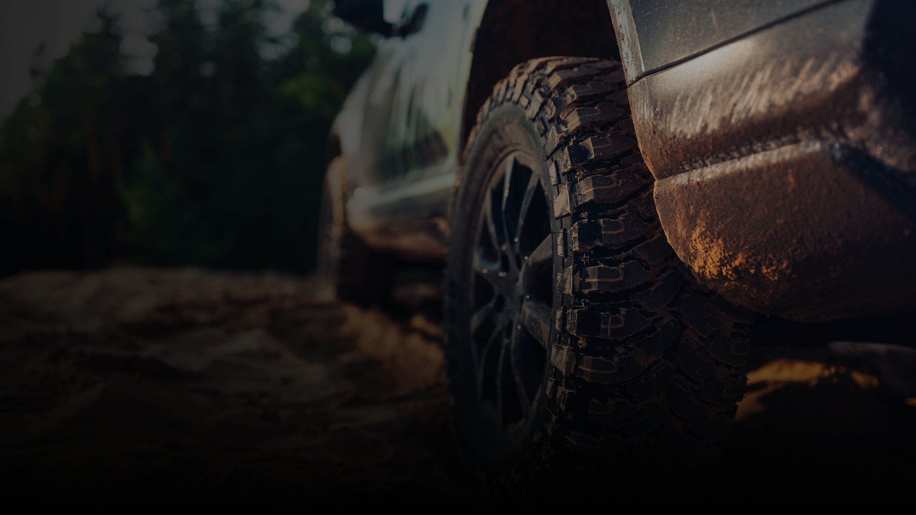 Truck tires on a dirt road