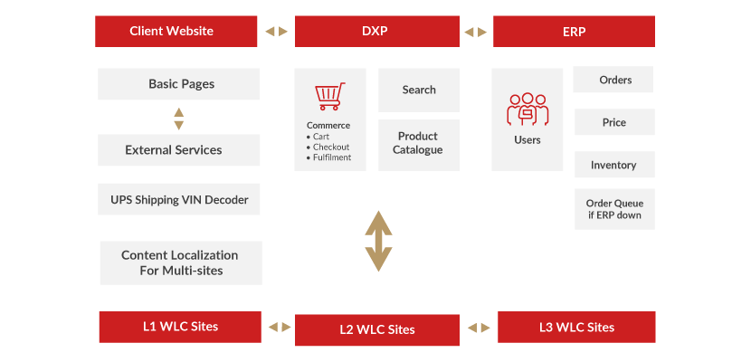 Digram showing the process for our client's improvements.