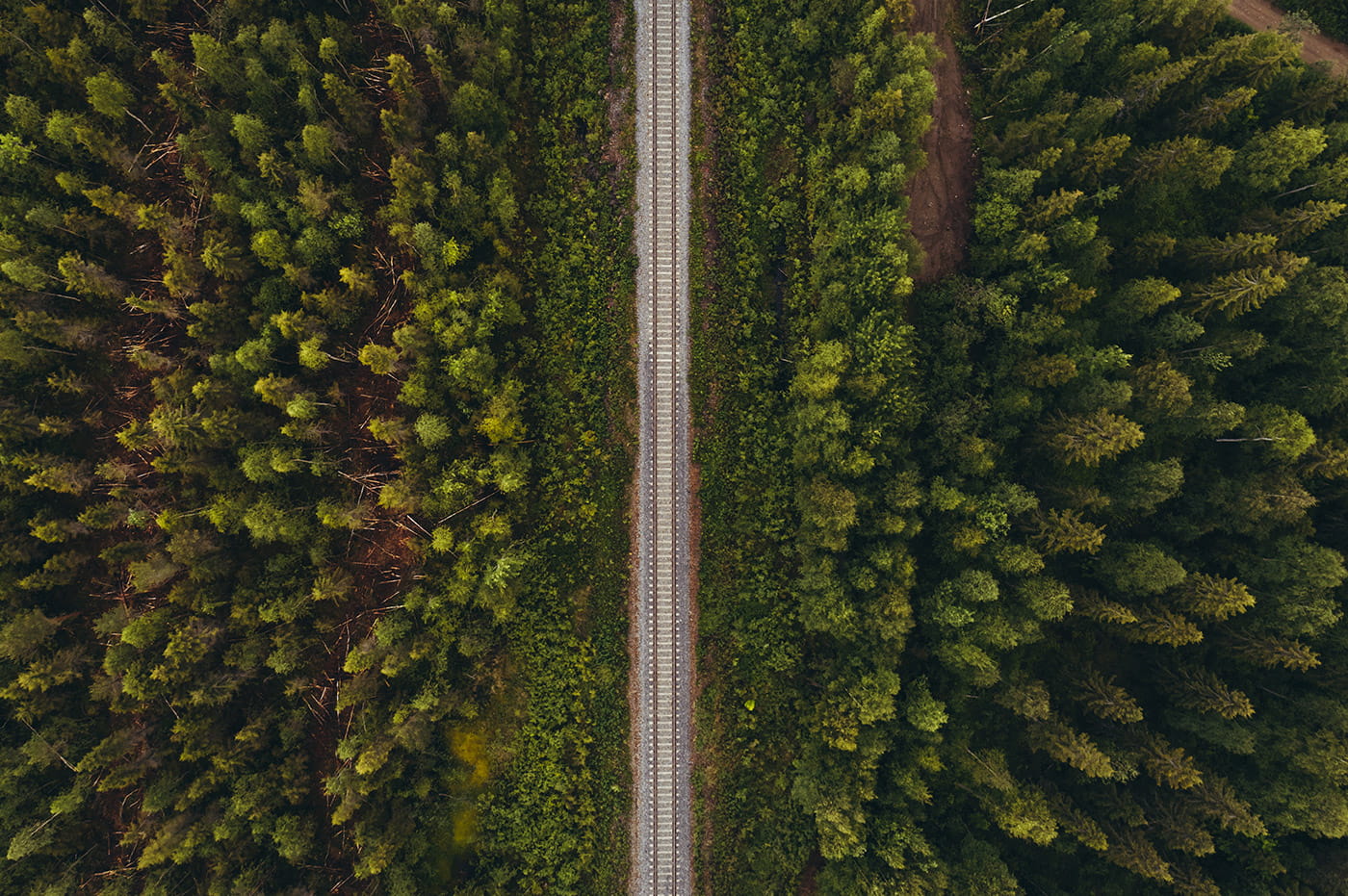 Aerial view of train tracks crossing through a heavily wooded area.