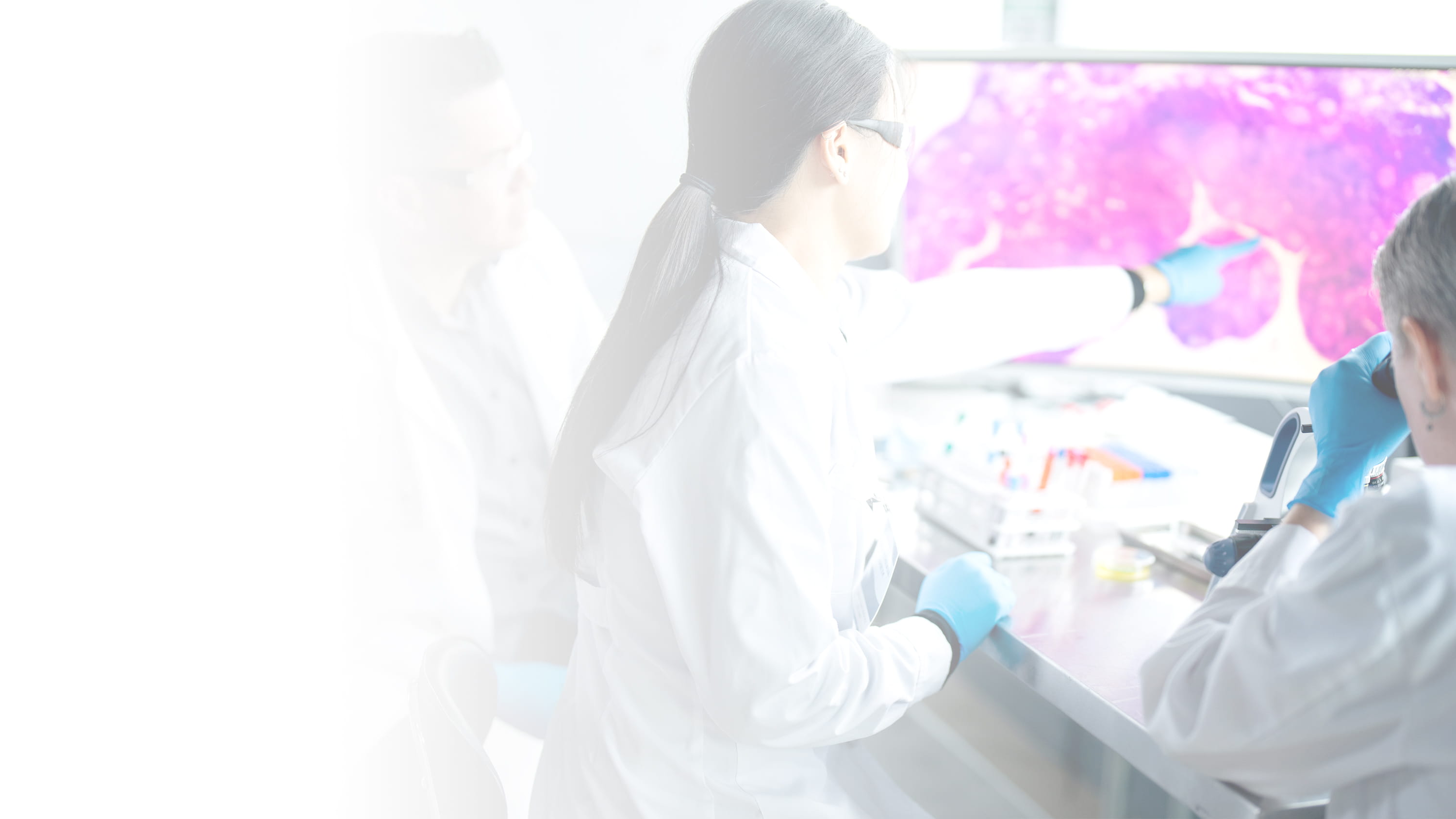 Healthcare workers looking at a screen 